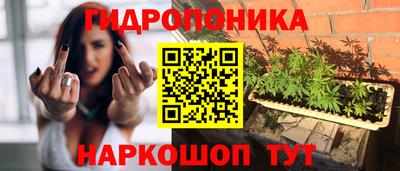 МДМА Новозыбков