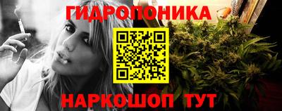 МДМА Новозыбков