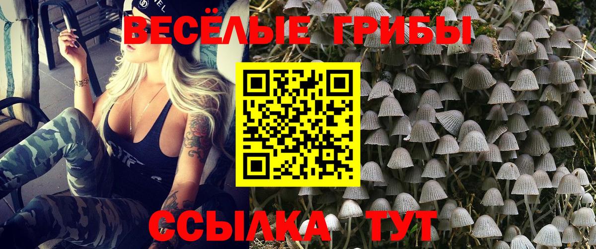 Псилоцибиновые грибы мухоморы Сухой Лог