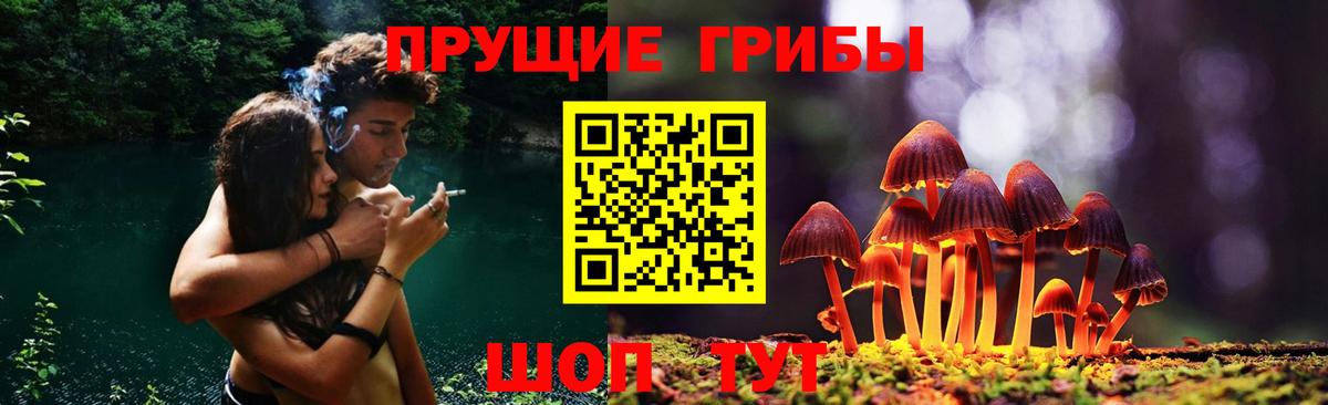 Псилоцибиновые грибы Psilocybine cubensis  Вход с VPN  Сухой Лог  Галлюциногенные грибы Psilocybe 
